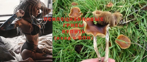 дурь Алексеевка