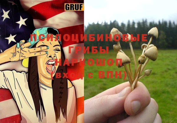 дурь Алексеевка